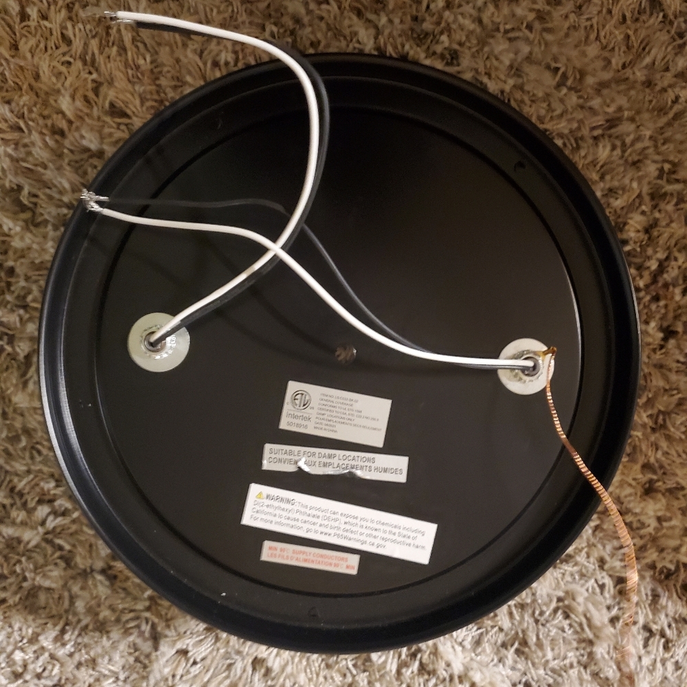 2 Light Flush Fixture - Picture 4 of 4